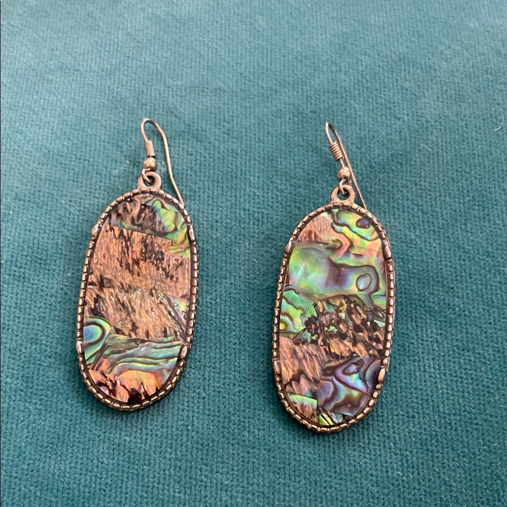 Elegant Gorgeous Abalone Shell Earrings
